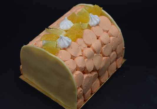 Bûche - Citrus stella